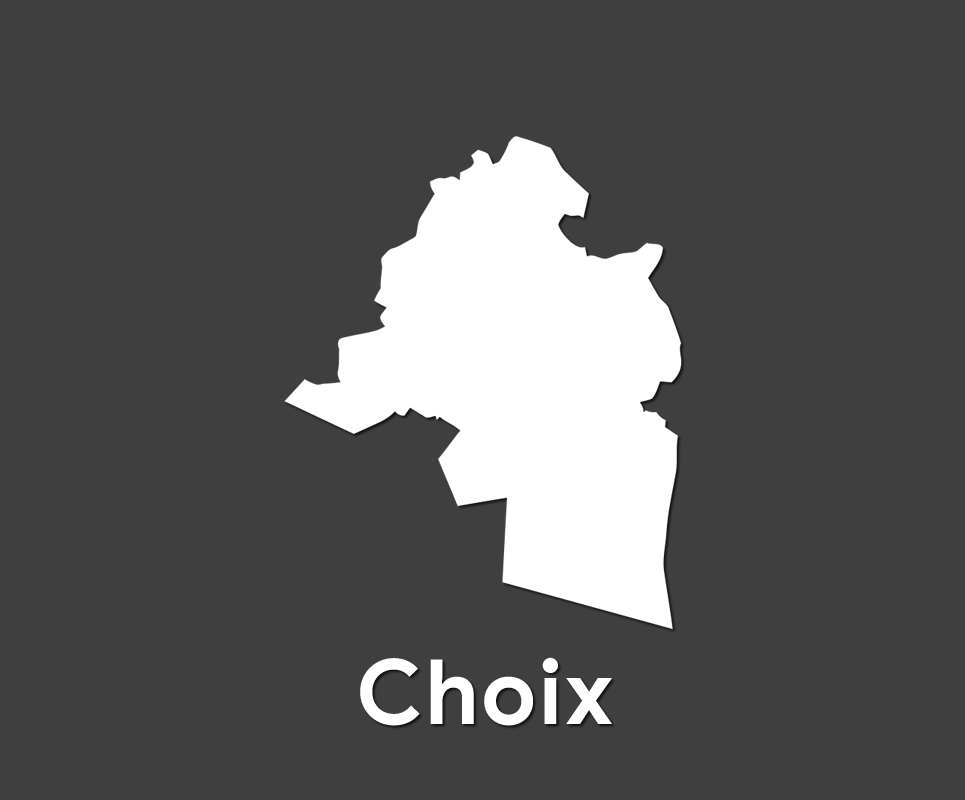 Comité Municipal de Choix