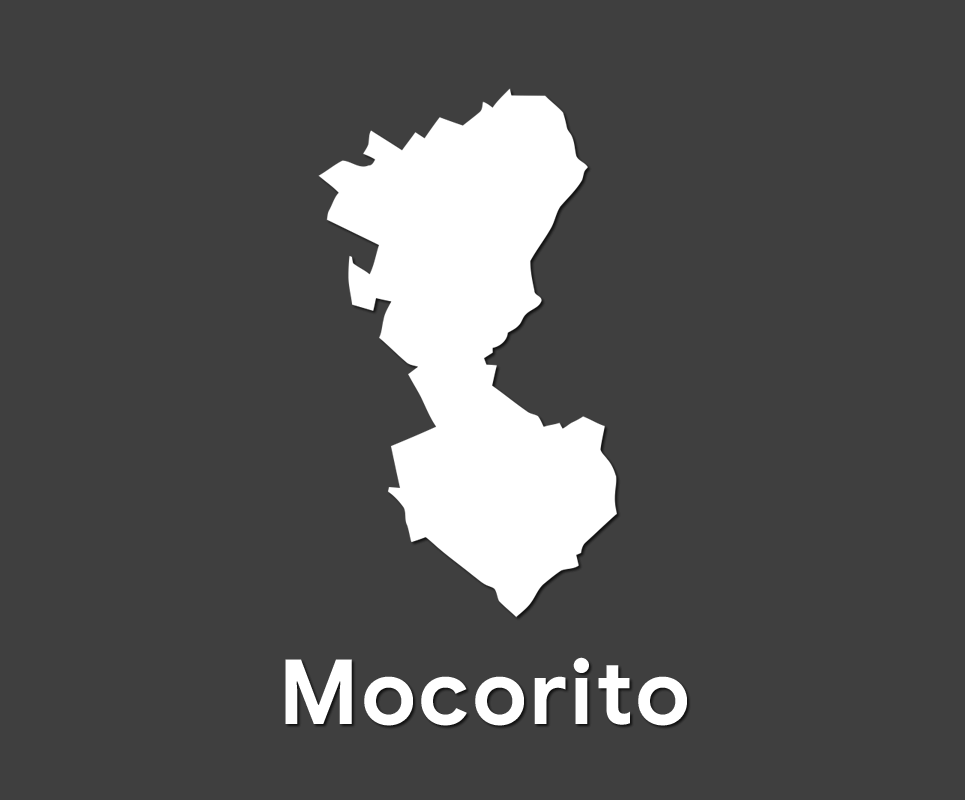 Comité Municipal de Mocorito