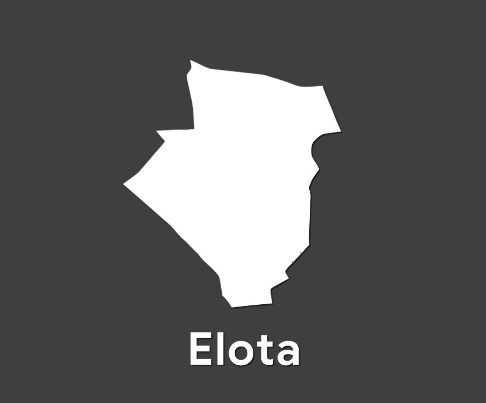 Comité Municipal de Elota